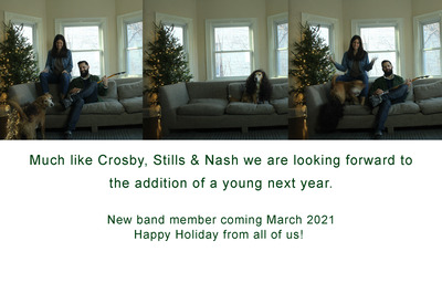 2020 : Crosby, Stills & Nash - Self Titled